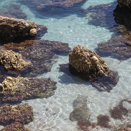 Clavero 1 Apartment *